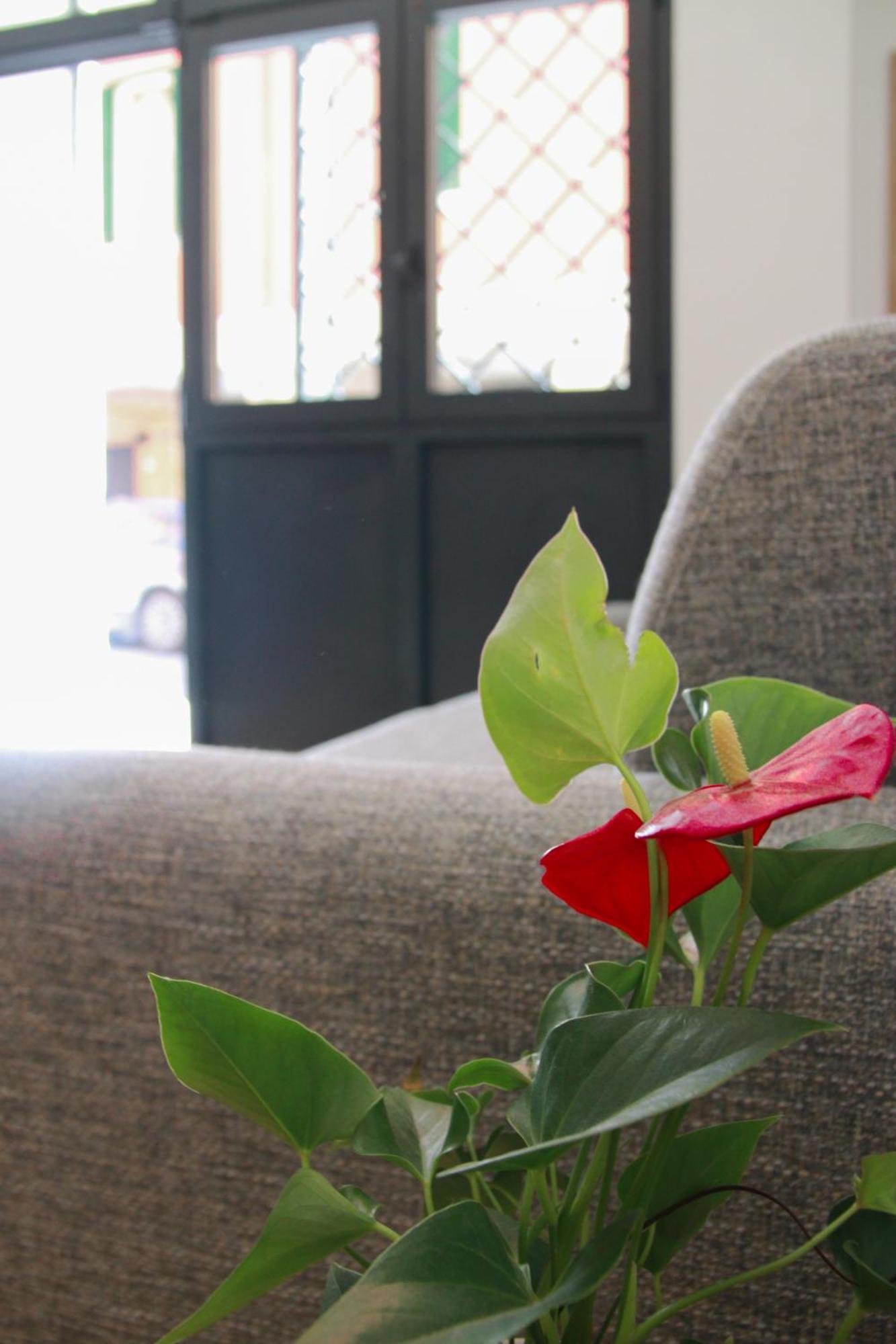 U Zone Apartment Bologna Bagian luar foto